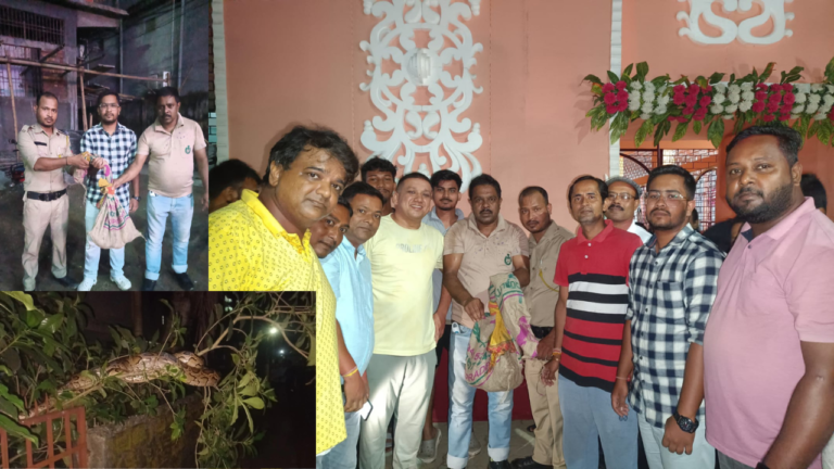 A 7-foot Burmese python being safely captured by forest department staff and local police on Satsang Ashram Road, Silchar, with local residents looking on.