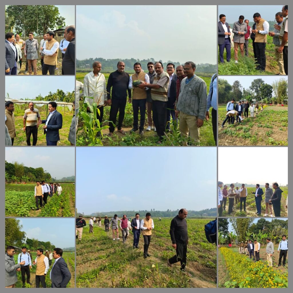 Cachar District Agriculture Officer Inspects Agricultural Projects in Lakhipur Cachar District Agriculture Officer Inspects Agricultural Projects in Lakhipur