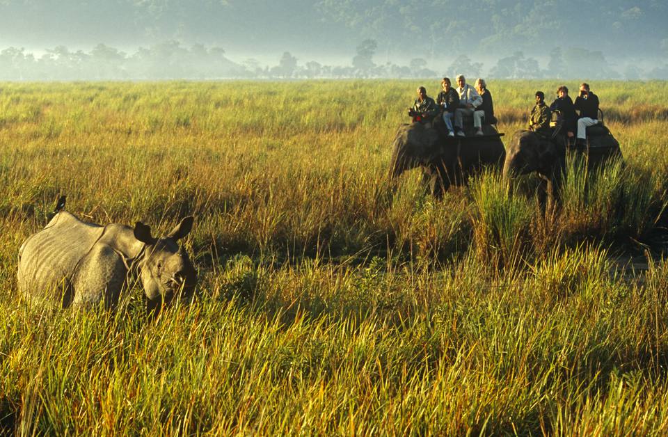 Kaziranga National Park in Assam Experiences Unprecedented Tourist Surge, Enhancing the Local Economy. Kaziranga National Park in Assam Experiences Unprecedented Tourist Surge, Enhancing the Local Economy.