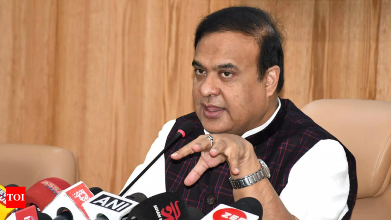 Assam Chief Minister Himanta Biswa Sarma addressing the media regarding arrests under NSA for anti-India statements.