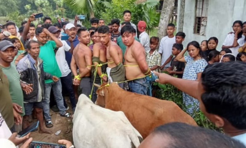 Four individuals apprehended for suspected cattle theft in Masegaon, Assam. Four individuals apprehended for suspected cattle theft in Masegaon, Assam.
