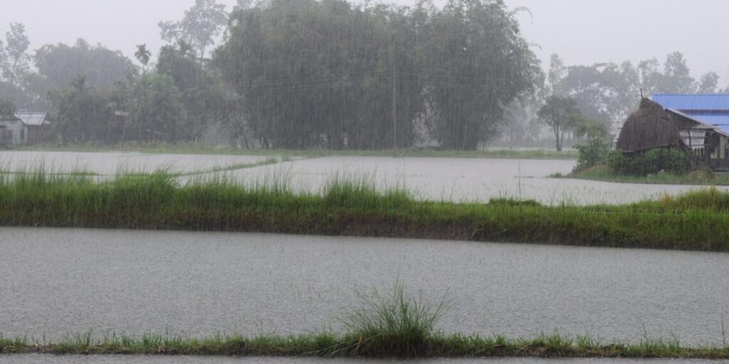 Assam and Meghalaya are under a red alert due to the possibility of heavy rain. Assam and Meghalaya are under a red alert due to the possibility of heavy rain.