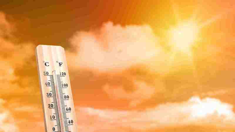 Assam is under a heat wave alert from IMD, with temperatures predicted to remain above average. Assam is under a heat wave alert from IMD, with temperatures predicted to remain above average.