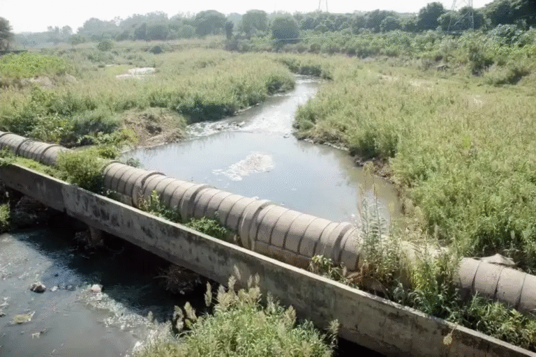 Rural canal in Assam under investigation by police