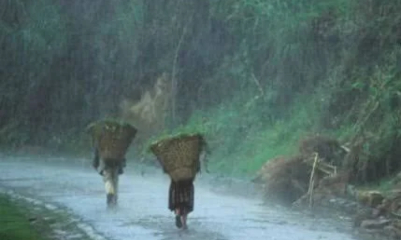 Nagaland is expected to experience rainfall until September 14. Nagaland is expected to experience rainfall until September 14.