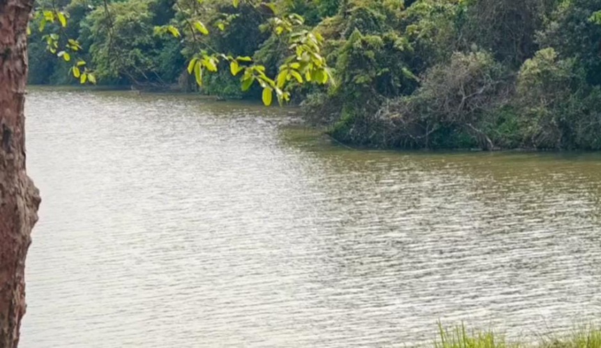 The Assam government has four weeks to respond to the CEC on the trash facility close to Kaziranga. The Assam government has four weeks to respond to the CEC on the trash facility close to Kaziranga.