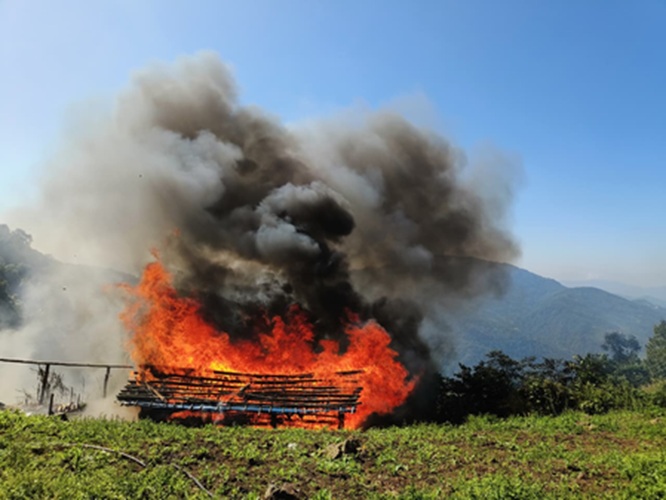 25 acres of illegal poppy farming in Manipur are destroyed by security personnel. 25 acres of illegal poppy farming in Manipur are destroyed by security personnel.